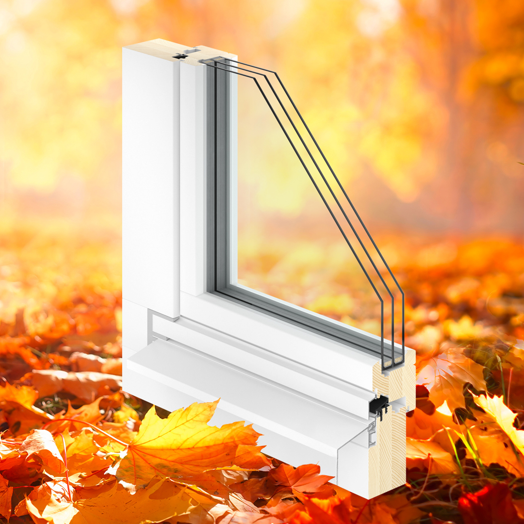 Warum sind gute Fenster so wichtig für Energieeffizienz? 🍂❄️

➡️ Bis zu 25–30 % der Heizenergie gehen durch alte Fenster...